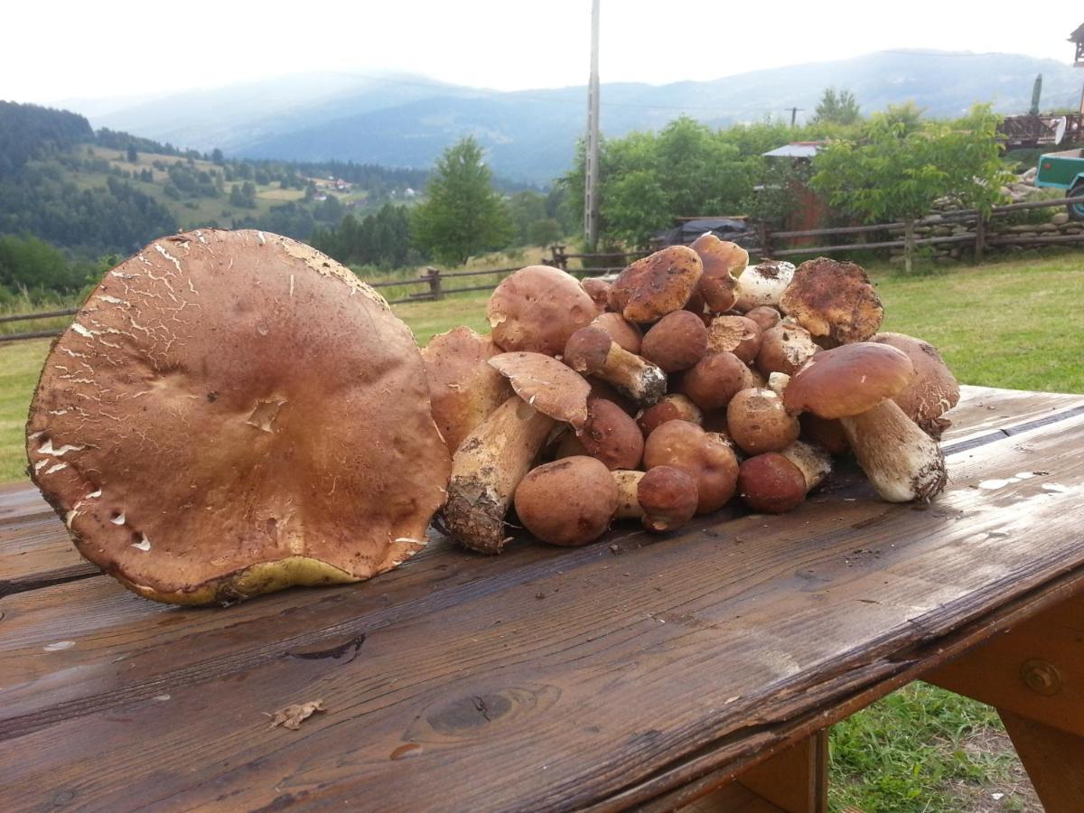 Babia Chata 자보자 외부 사진