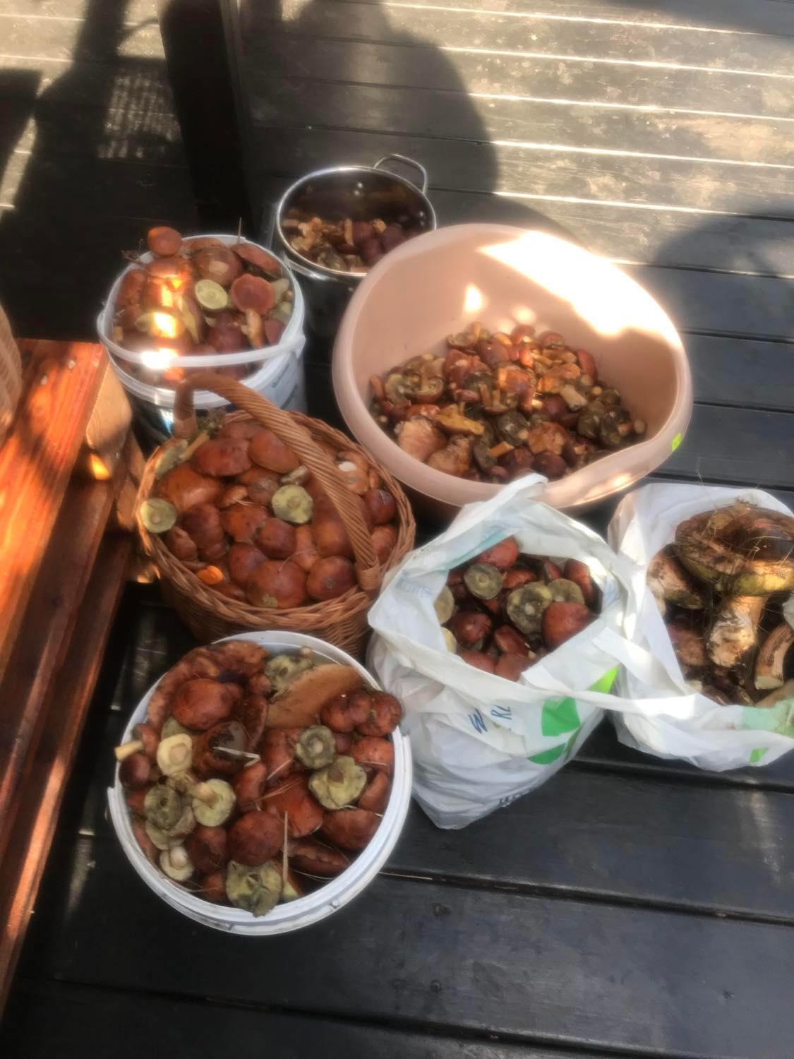 Babia Chata 자보자 외부 사진
